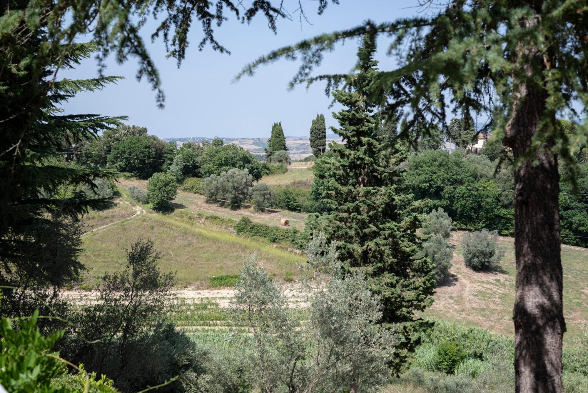 Terre della Rinascita Villa Castelnuovo della Misericordia Esterno foto