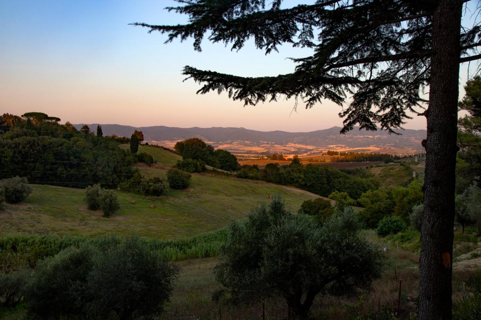 Terre della Rinascita Villa Castelnuovo della Misericordia Esterno foto