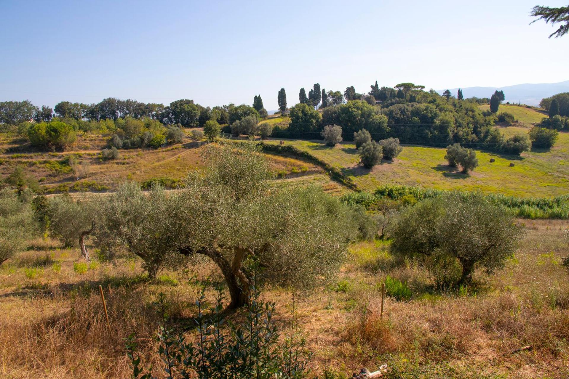 Terre della Rinascita Villa Castelnuovo della Misericordia Esterno foto