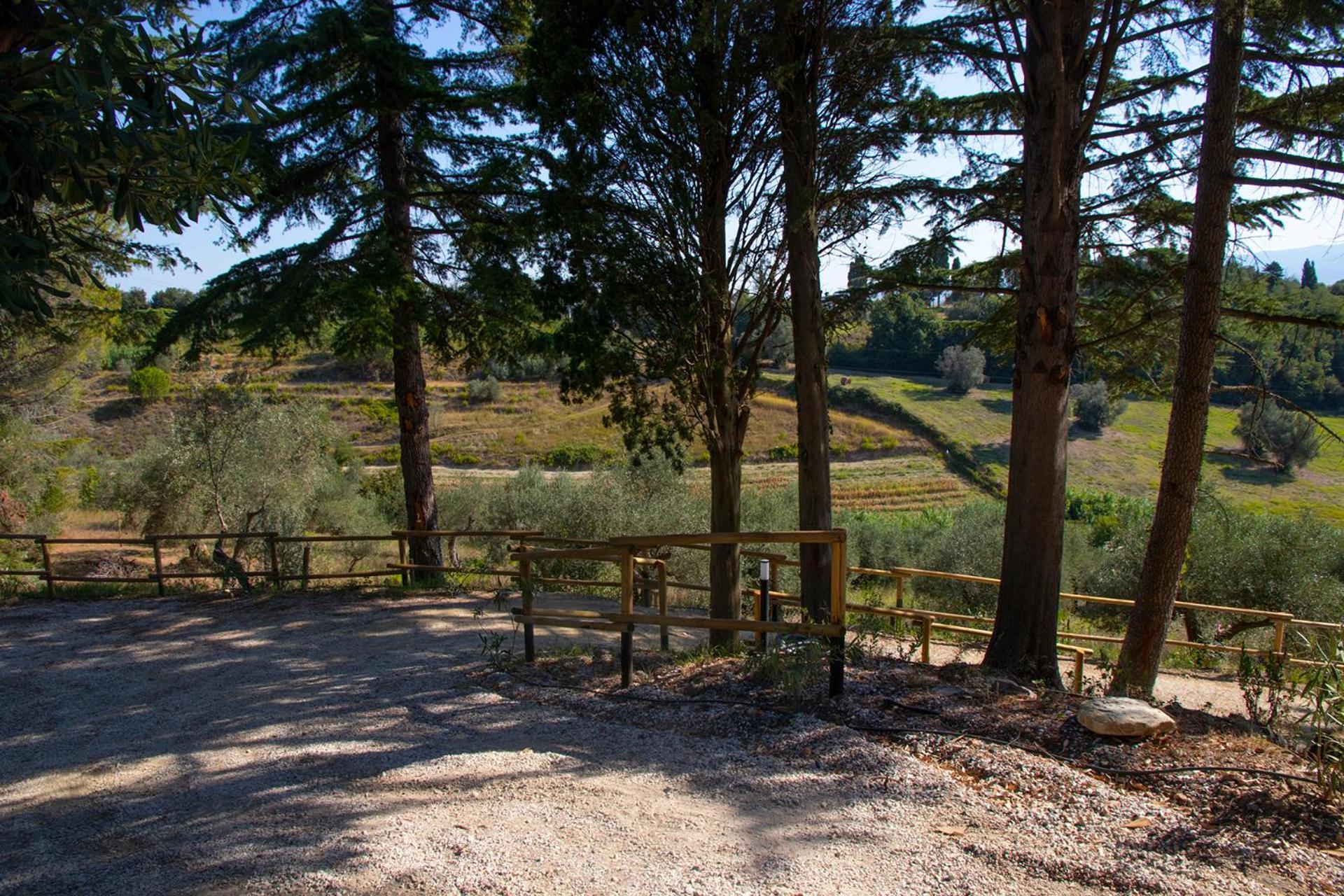 Terre della Rinascita Villa Castelnuovo della Misericordia Esterno foto