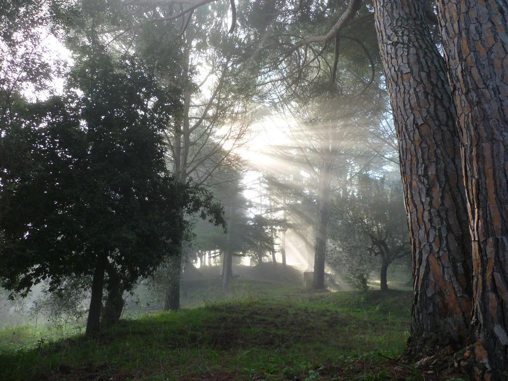 Terre della Rinascita Villa Castelnuovo della Misericordia Esterno foto